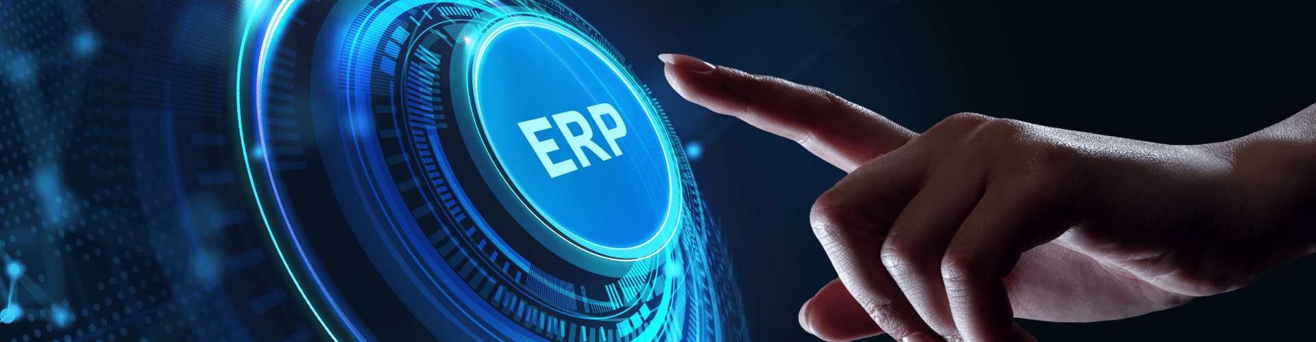 Custom ERP
