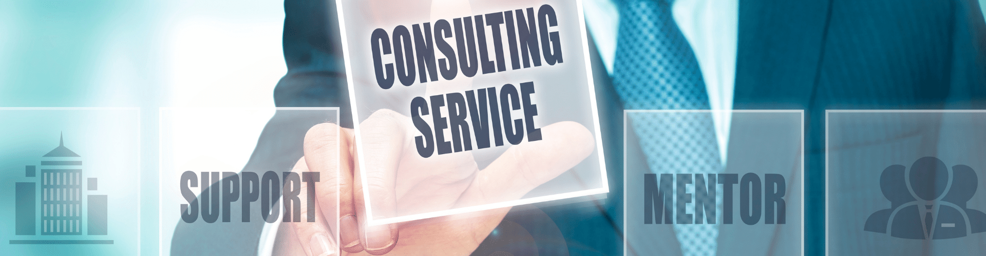 IT Consulting