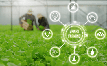 Smart Farming